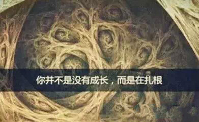 首页- 人生就是博中国官方网站